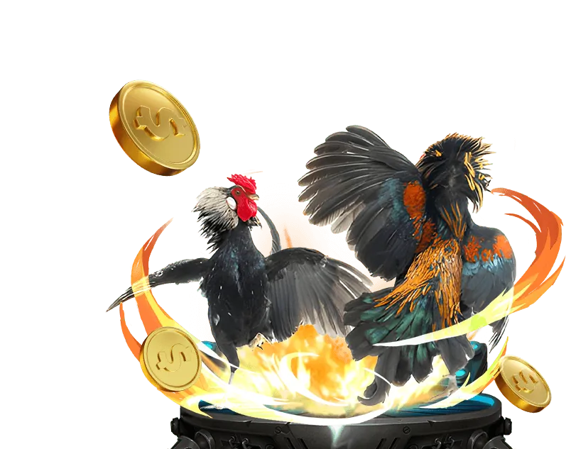 Thưởng nạp lại Zubet